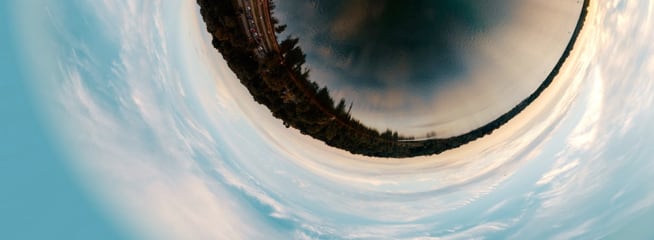 a picture of a fisheye